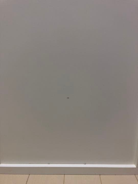 ペット用　クローゼット