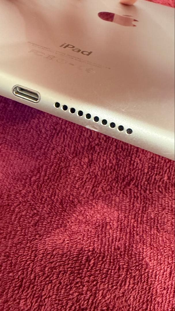 Apple iPad mini 第4世代　128GB