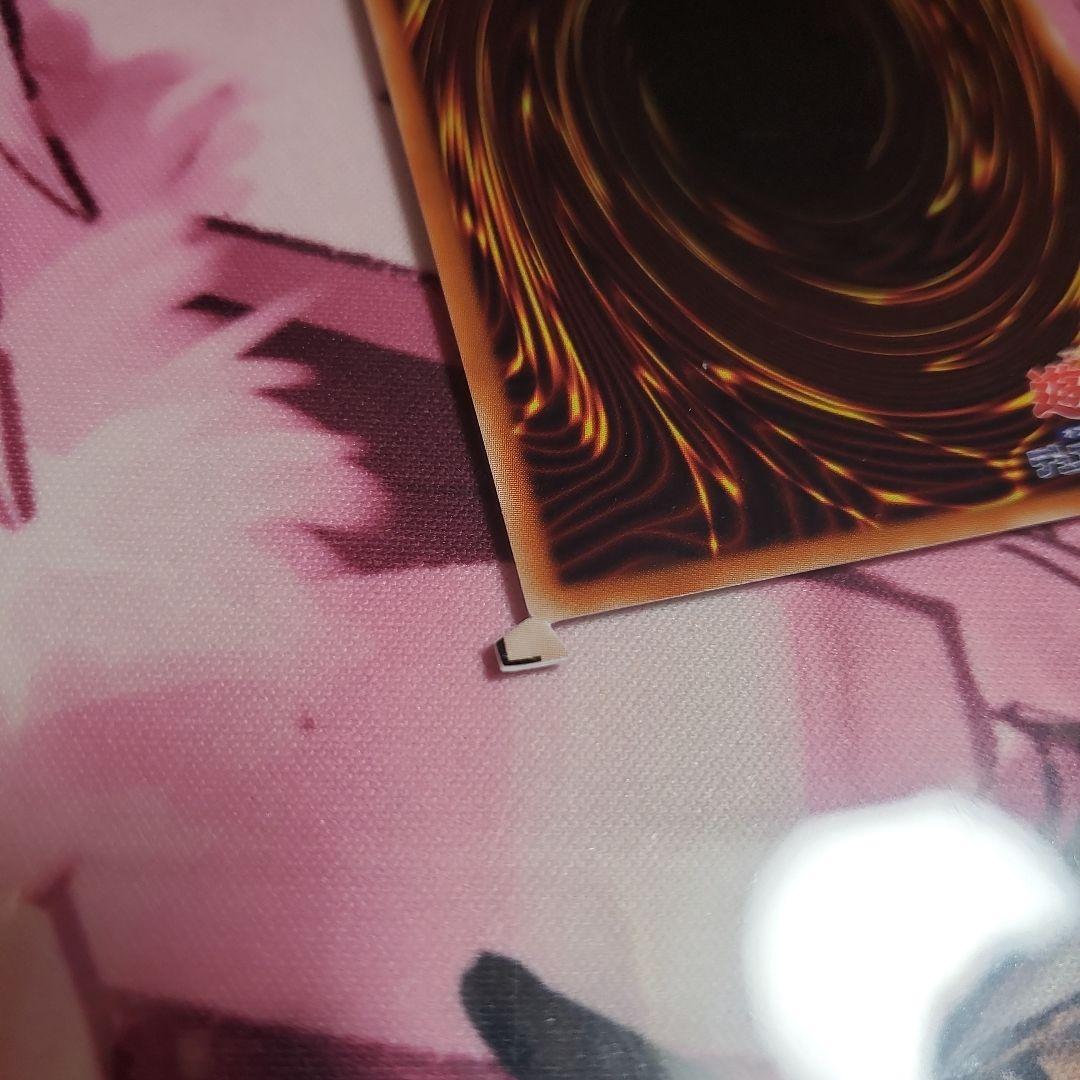 遊戯王　裁断エラー　エラーカード　侵略的外来種 I.A.S　error card