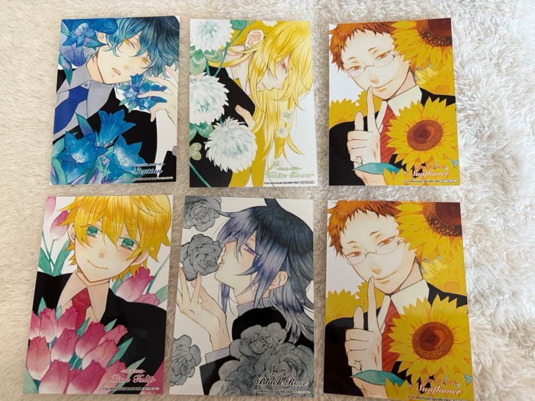 PandoraHearts 特典セット