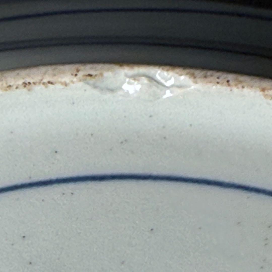 古伊万里　藍九谷様式　染付水鳥花図尺皿　31.5cm　裏唐草文　江戸中期　蒐集家