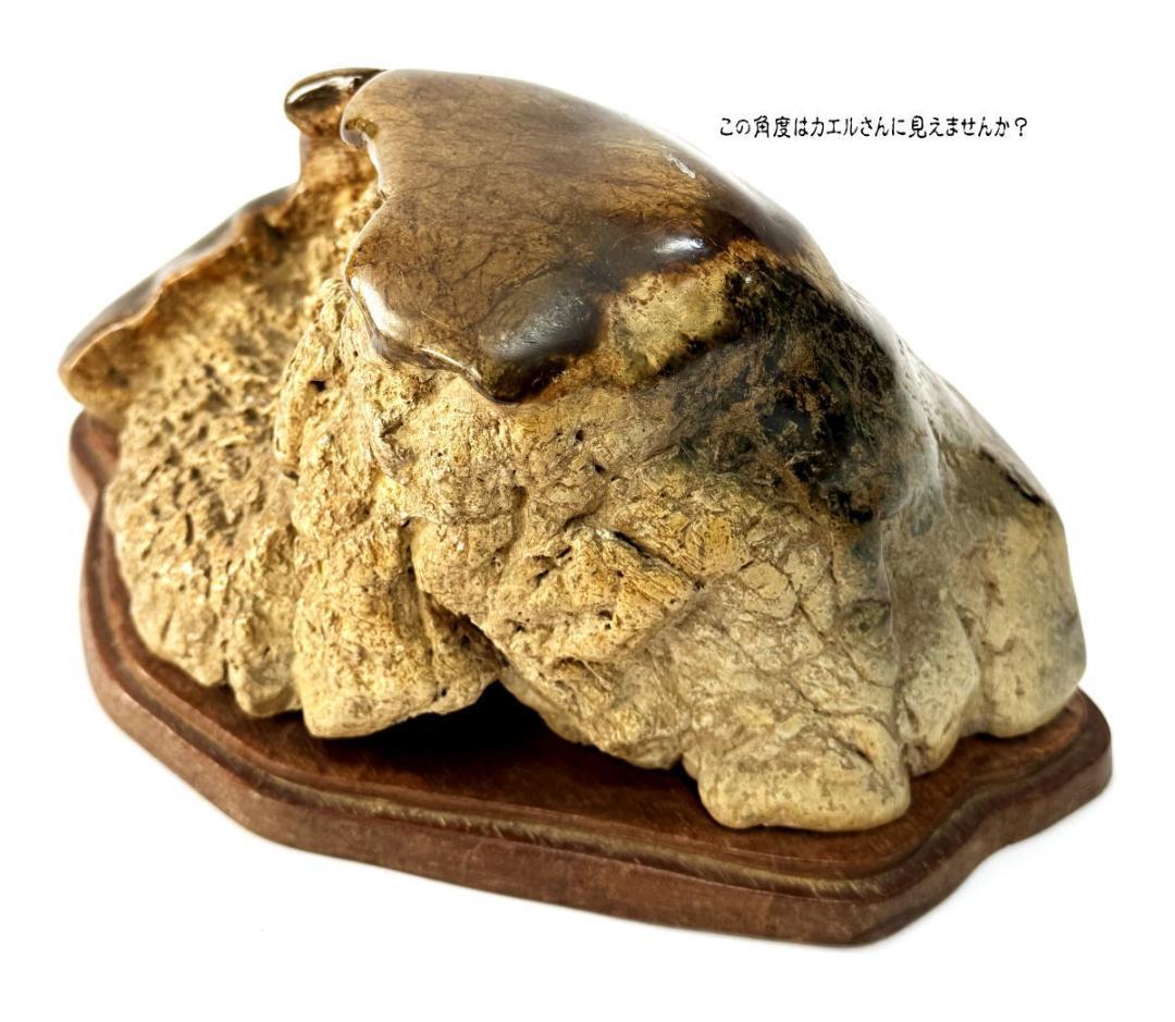 天然石 鑑賞石 唐木台 一点もの 置物 約7kg 観賞用 稀少 WWFT072
