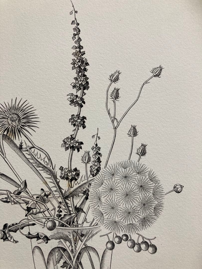 【真作保証】長谷川潔「コップに挿した野花」銅版画 額装 版画 絵画