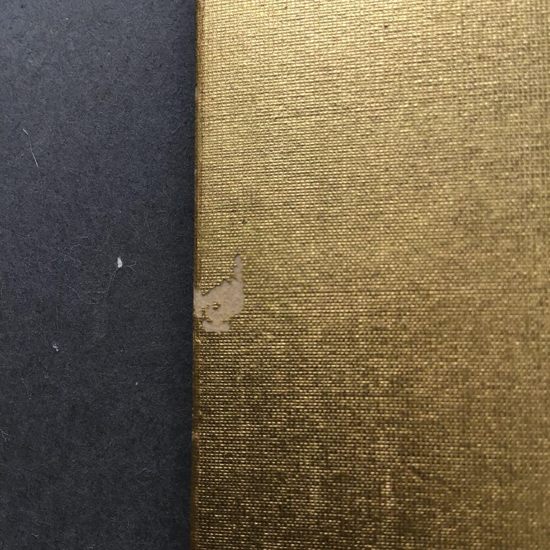 色紙　松、鶴、旭日を金地に描いた吉祥画　配送用袋　S1039SS