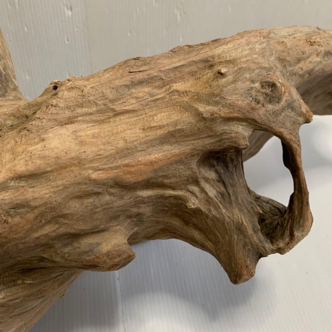 アク抜き済み流木　No.050 .039.031.239.393