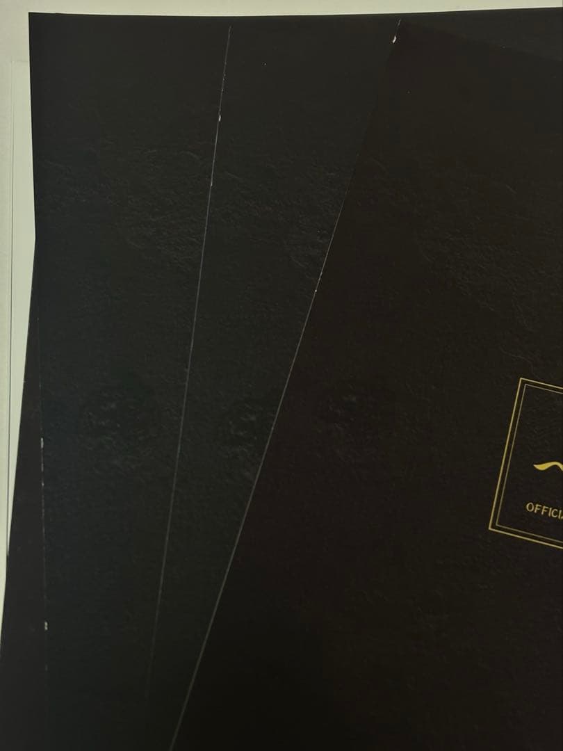 -真天地開闢集団-ジグザグ 会報　グッズ