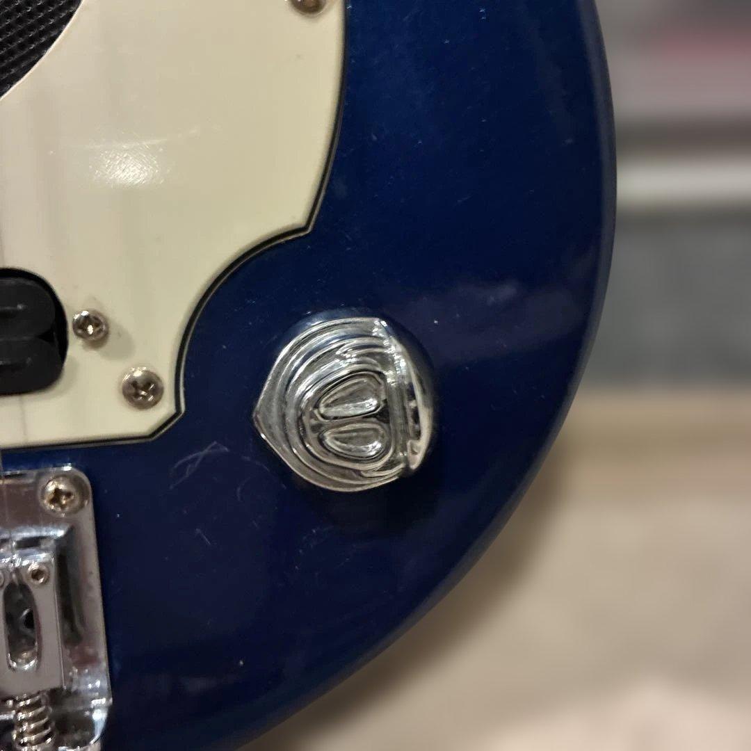 ピグノーズPGG200 青