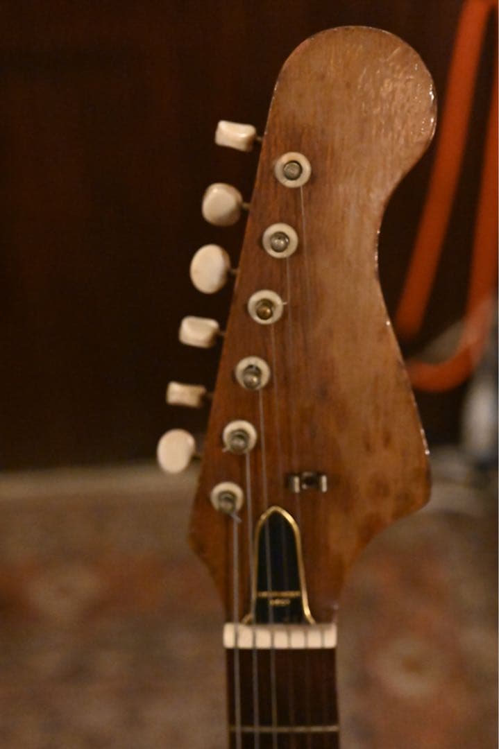 Vision ビザール　エレキギター