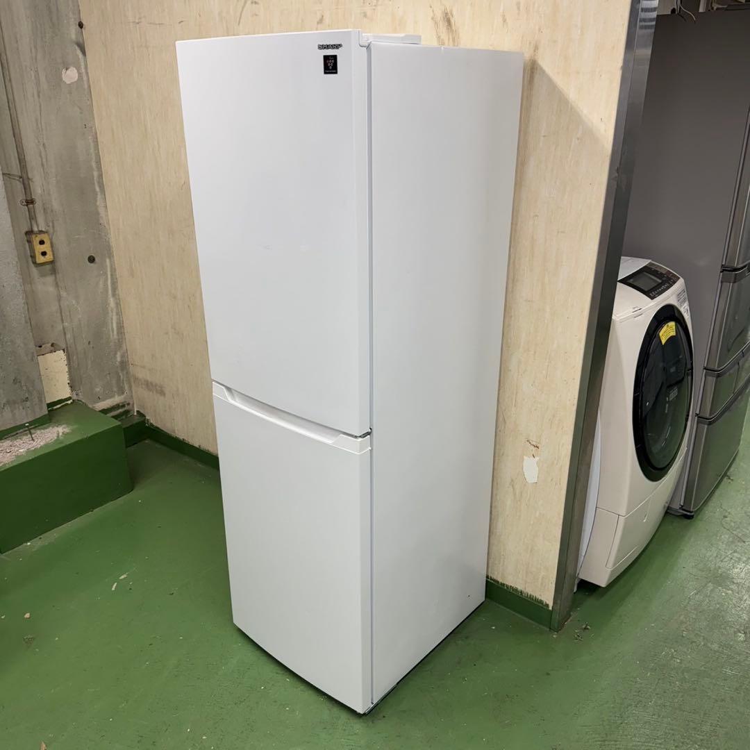 198 関東配送　冷蔵庫　大型　200L〜300L 右開き　極美品　人気モデル