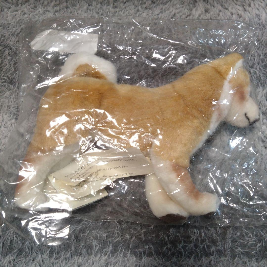 新品 ケーセン（koesen）柴犬