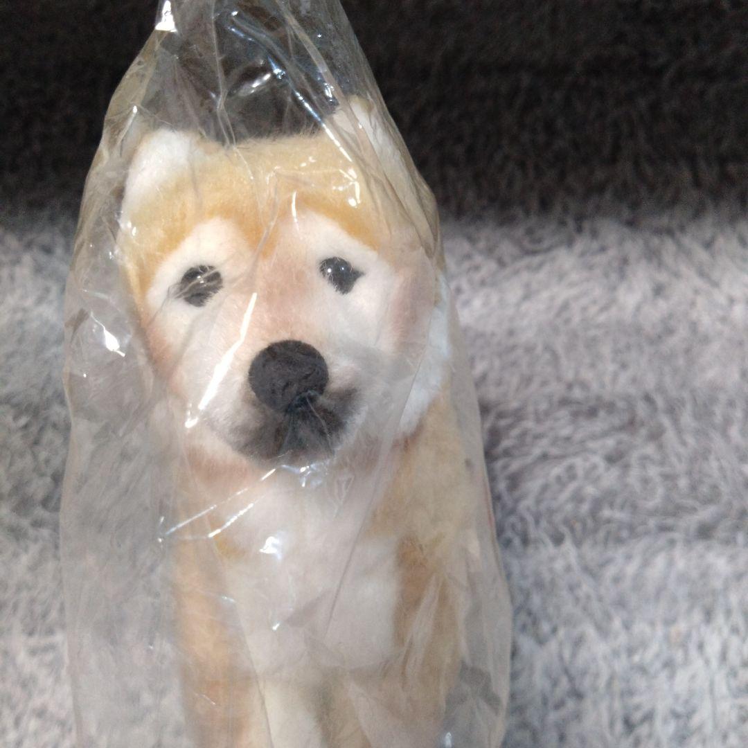 新品 ケーセン（koesen）柴犬