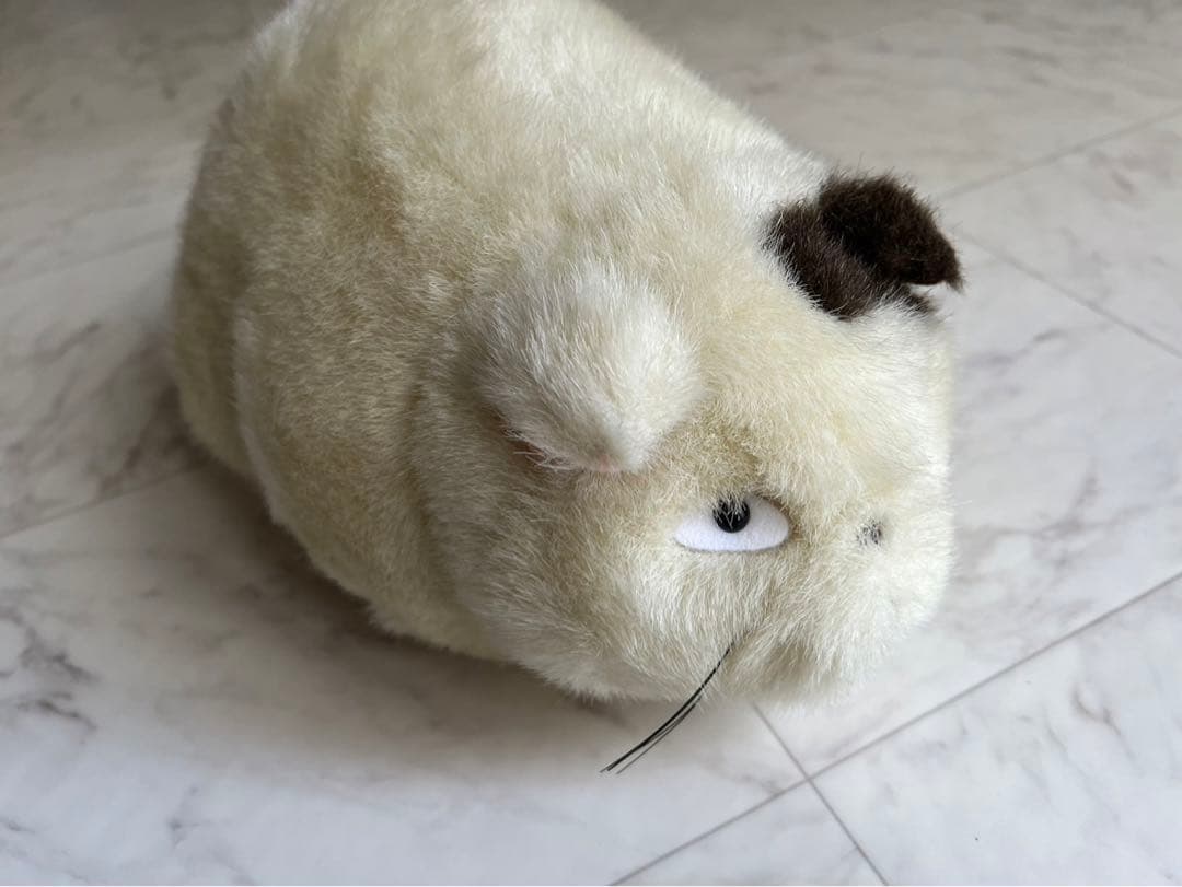 耳をすませば　ムーン　デブ猫