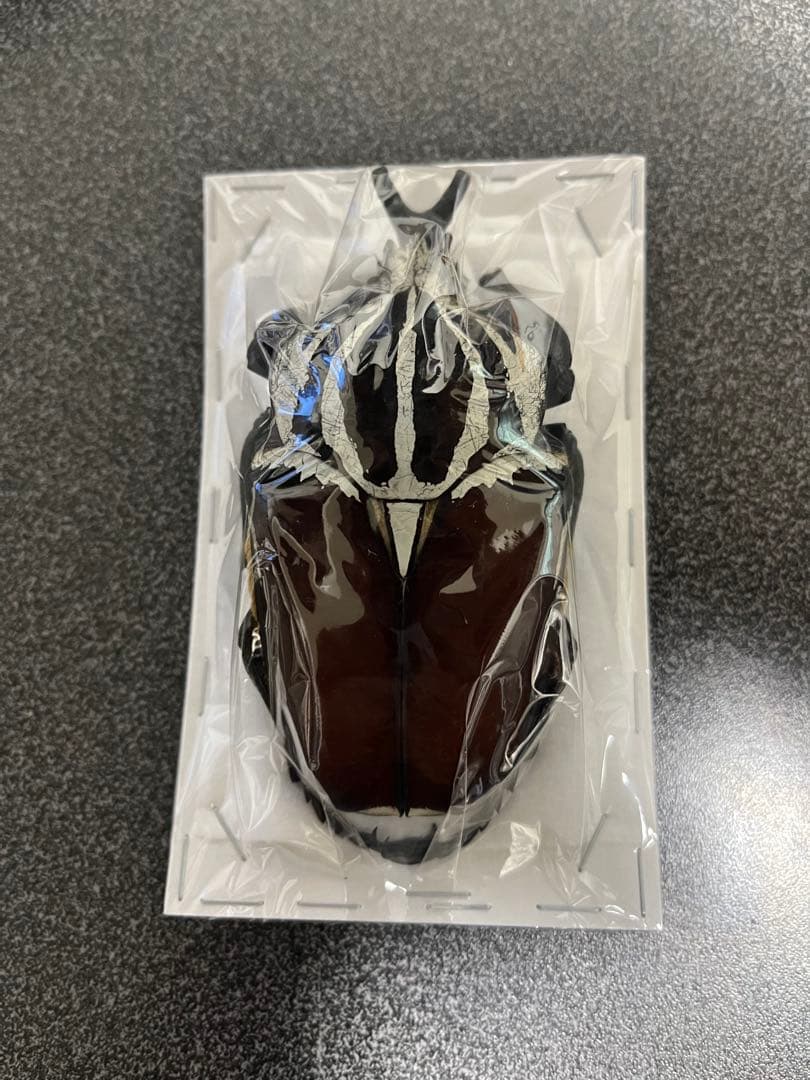 ゴライアスオオツノハナムグリ　97㎜　ウガンダ産