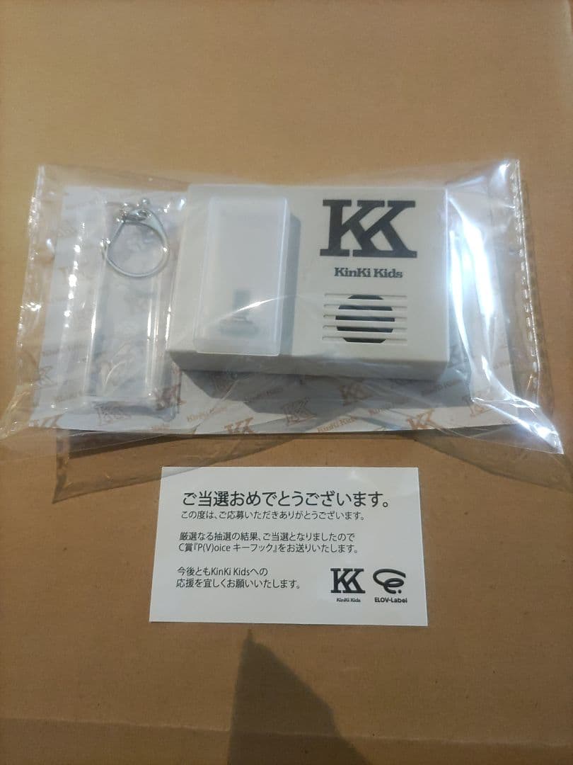 KinKi Kids　Pアルバム　シュレーディンガー　キーフック　未使用品
