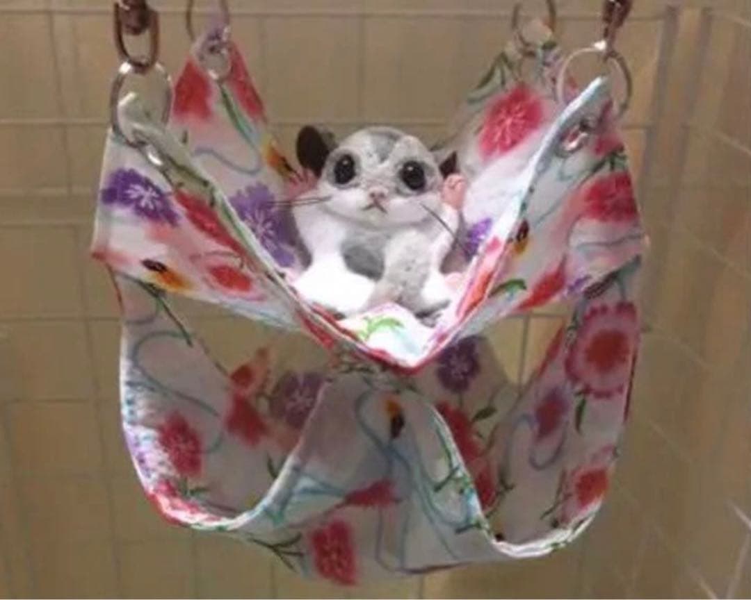 花柄ハンモック （夏仕様） 見本用