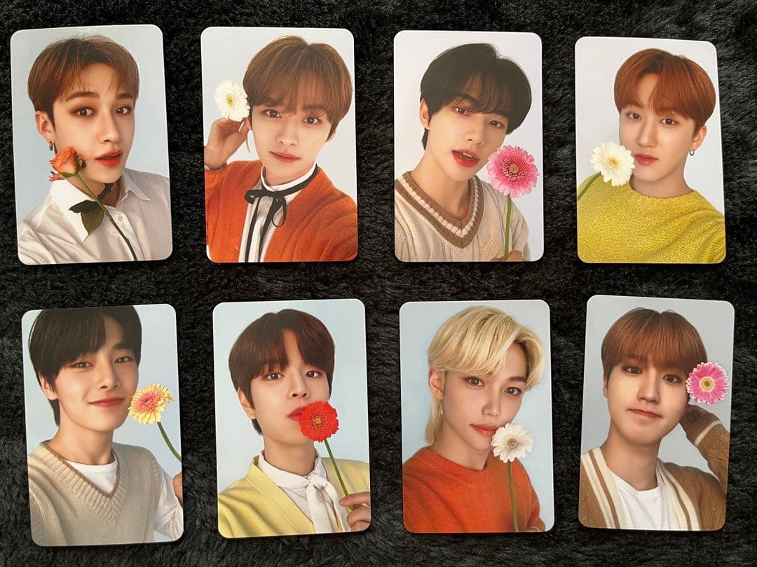 straykids ストレイキッズ スキズ ナシフィック トレカ VIPセット