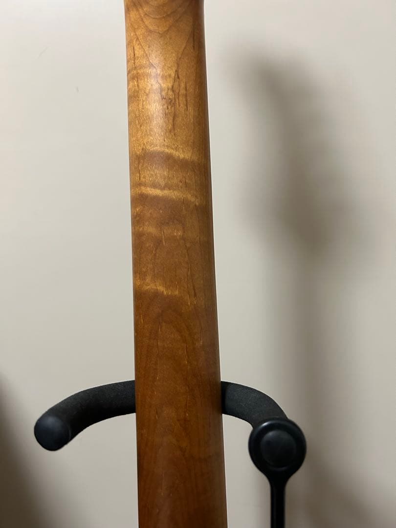 ギター Bacchus BST-1-RSM/M