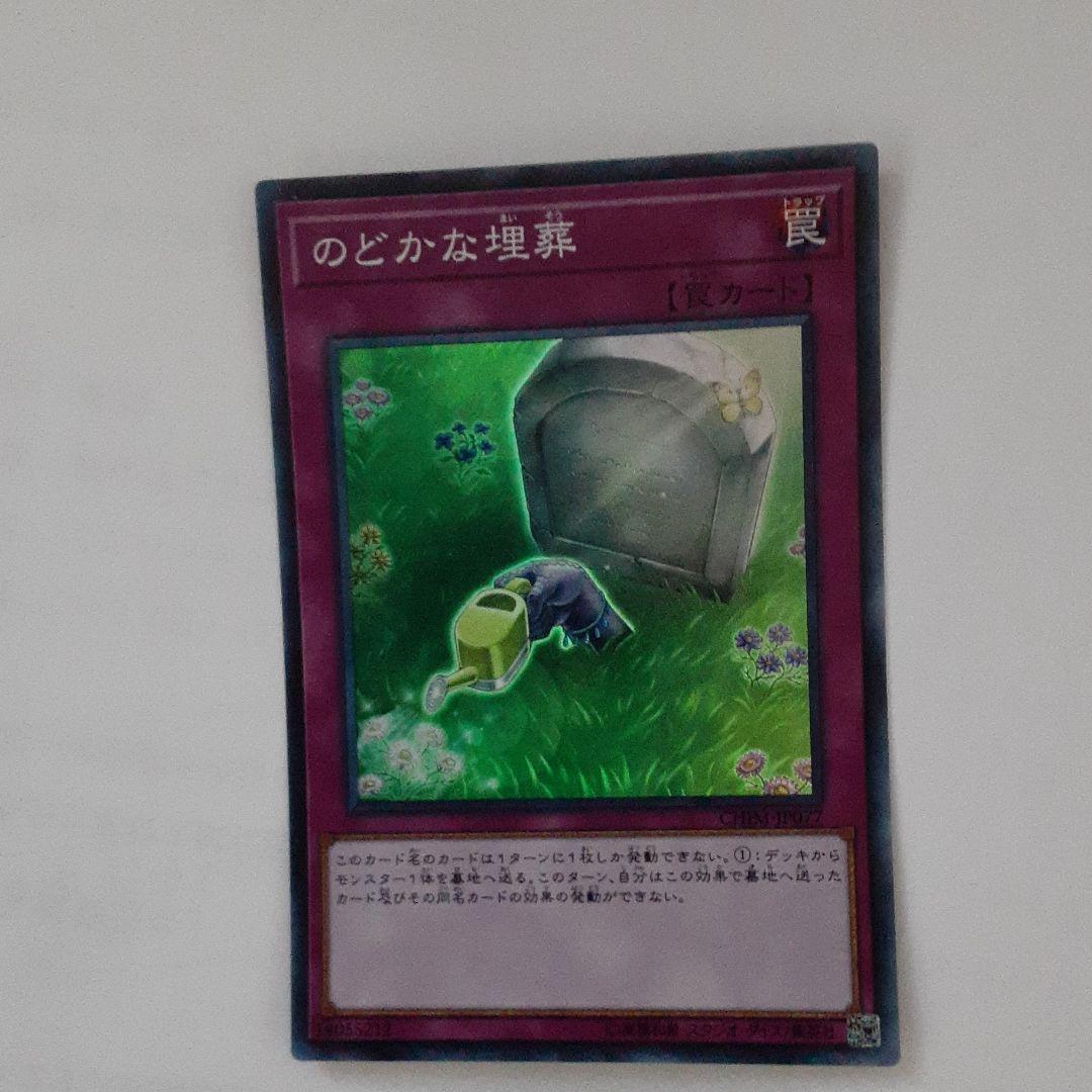 遊戯王 のどかな埋葬