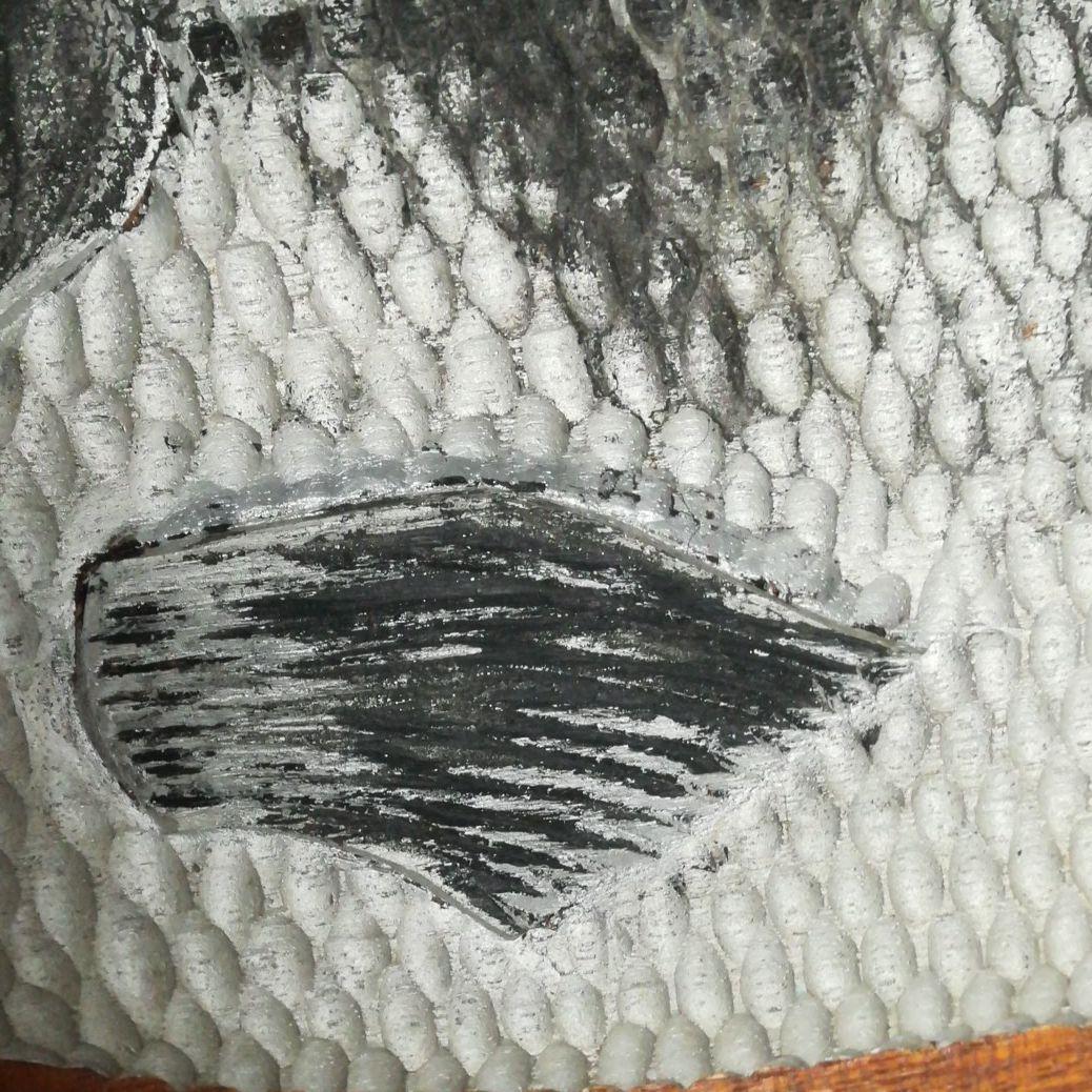 レトロ　木彫レリーフ　壁掛け　鮭　カムイチェップ　北海道　アイヌ彫