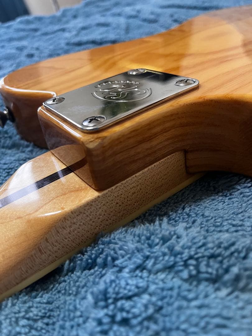 SX VTG シリーズ　テレキャスター