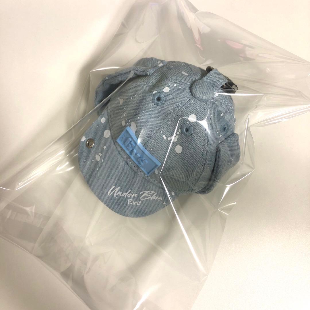 Eve UNDERCOVER くじ D賞 キャップポーチ