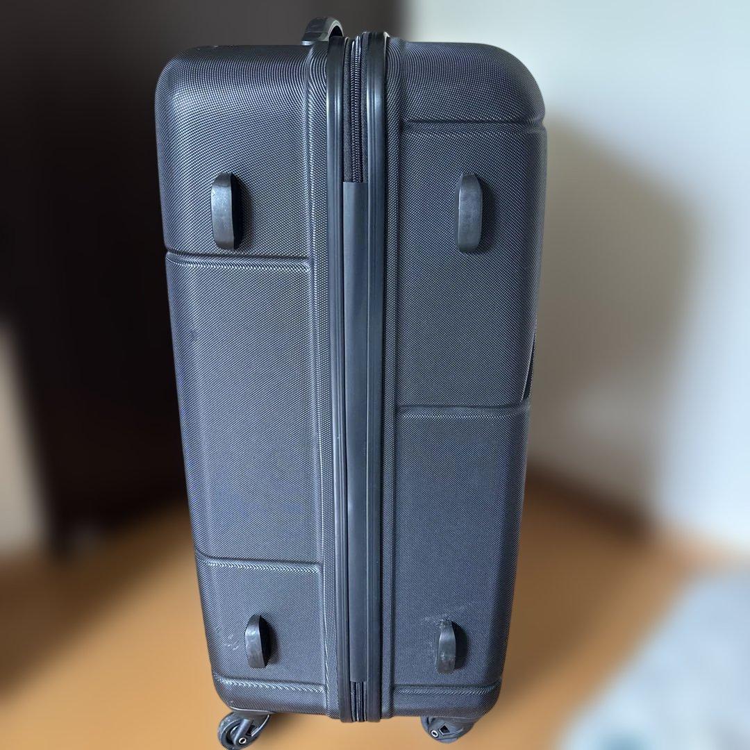 カメレオン　幾何学模様 ブラック キャリーケース　L