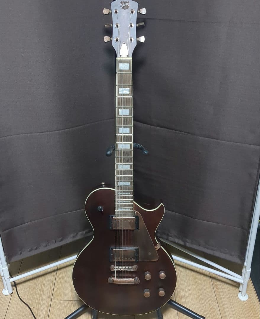 AXL GUITARS ( アクセルギターズ ) / AL-820-BR