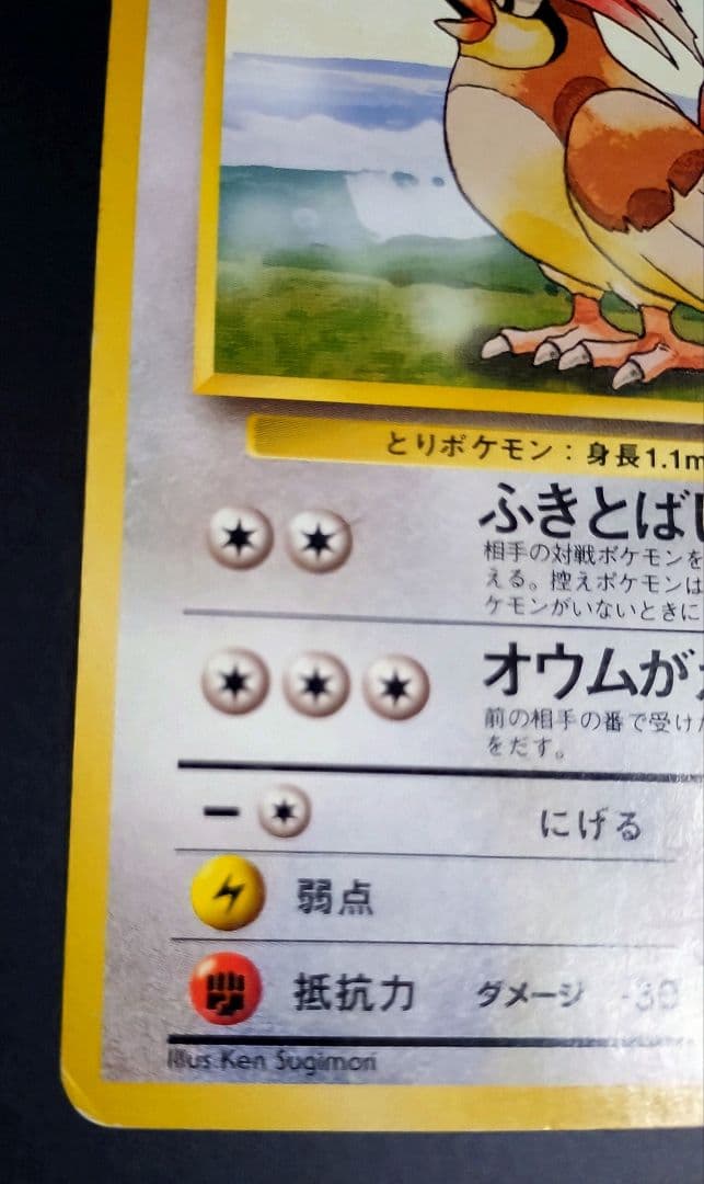 【星エラー有】【初版】ポケモンカード 旧裏 No.017 ピジョン LV.36