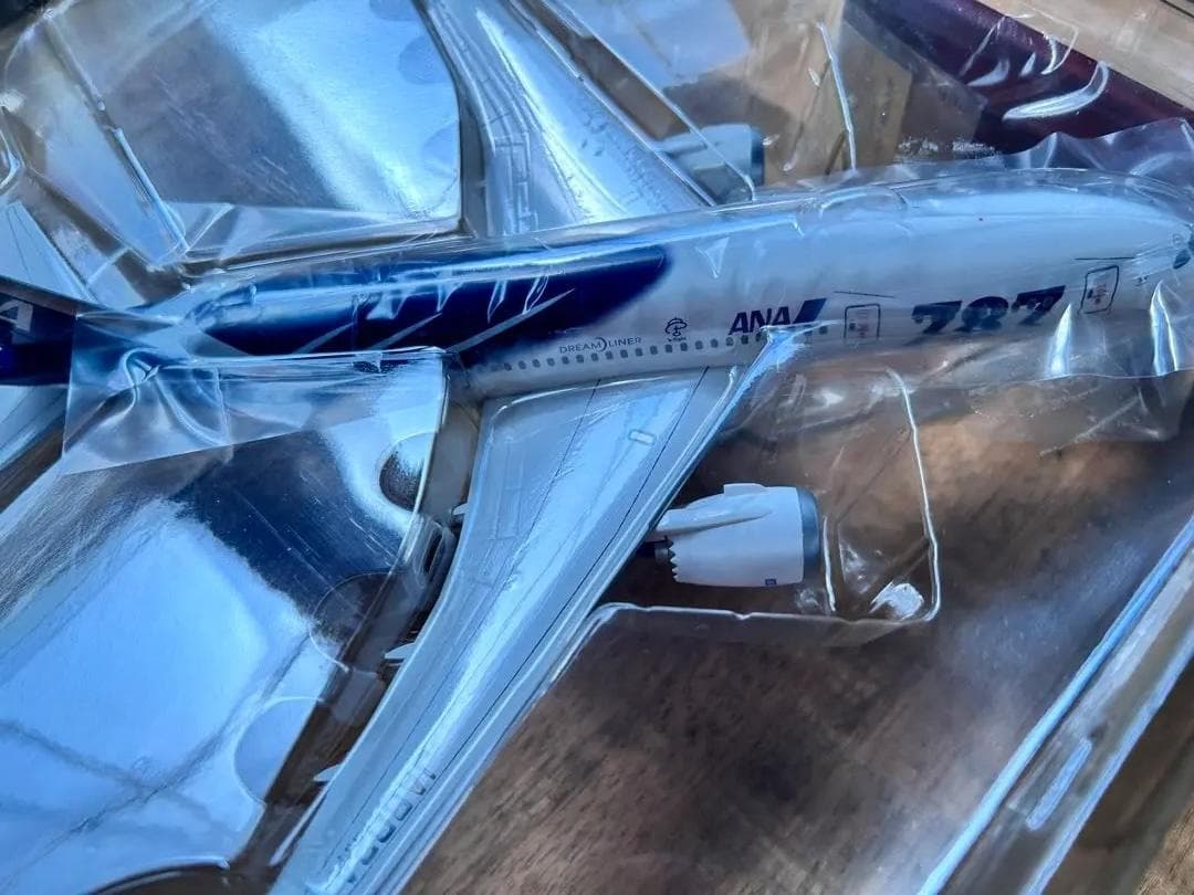 ANA　全日空商事｜Boeing787-8　JA802A　NH20051｜鯖次郎