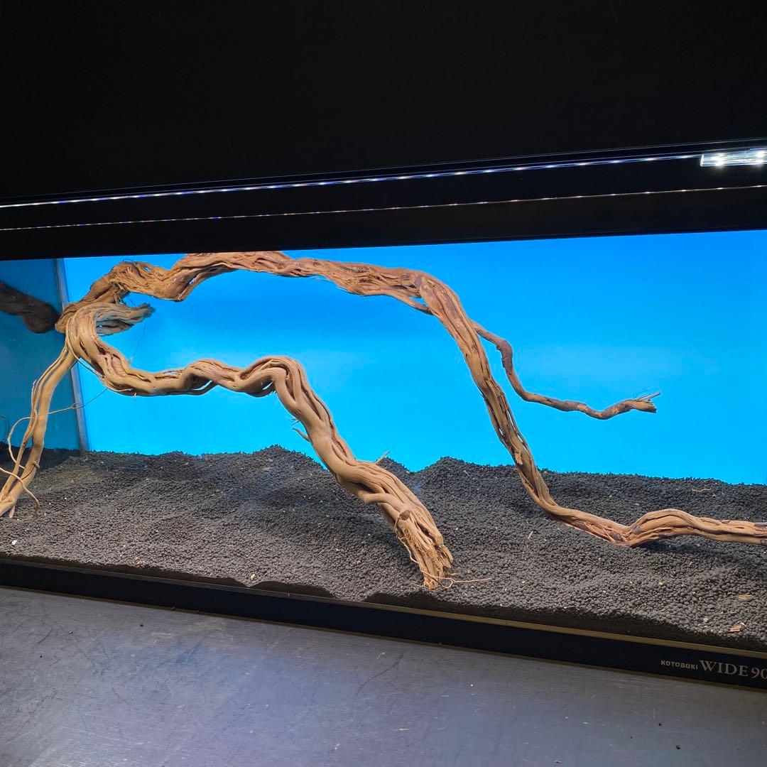 MTW-6751 蔦流木2本セット　90cm水槽用流木　アクアリウム