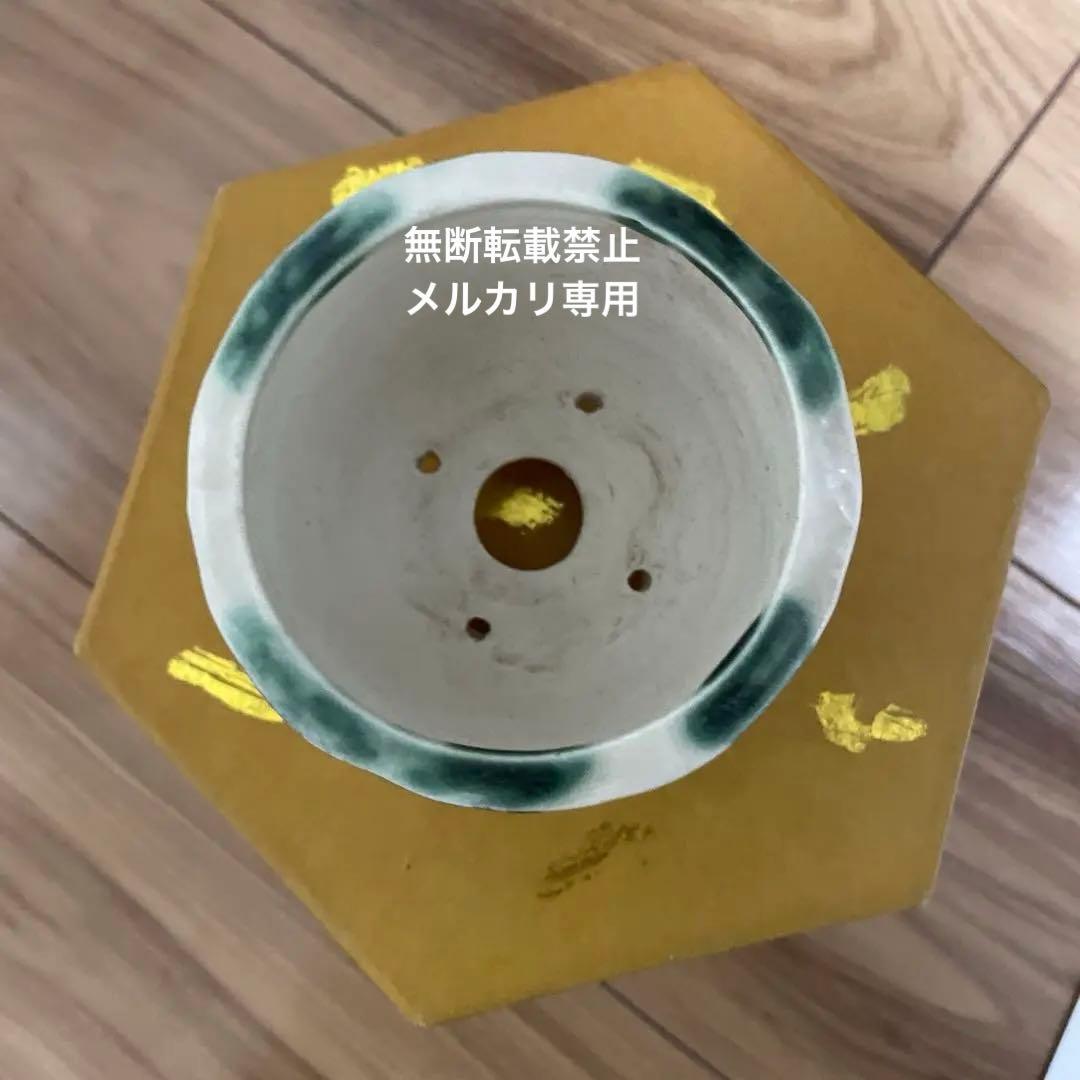 ミニ盆栽鉢　桑津香石　絵鉢　丸鉢　山野草　小品盆栽