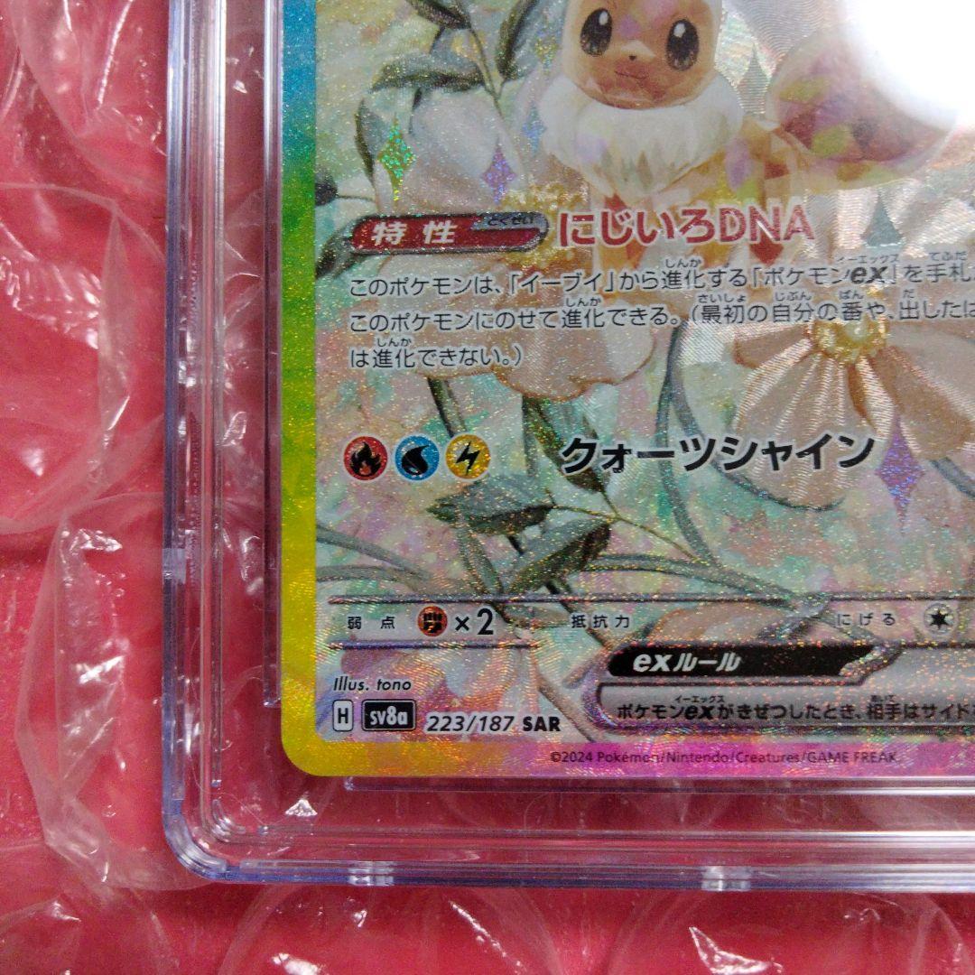 CGC10 ブラック PRISTINE イーブイex SAR 223/107