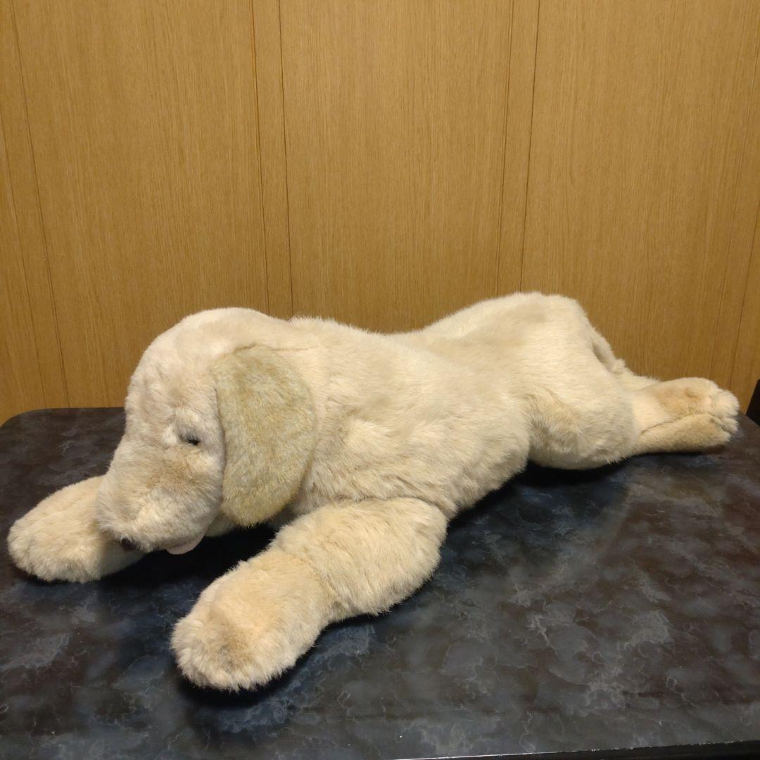 吉徳　ゴールデンレトリバー