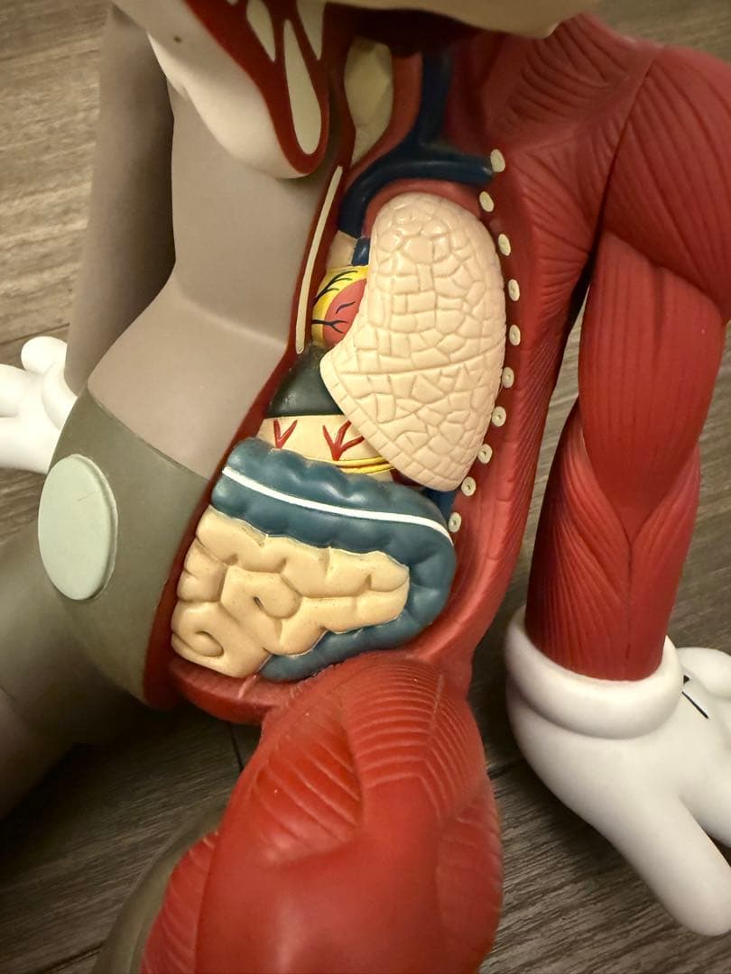 KAWS COMPANION RESTING PLACE メディコムトイ　カウズ