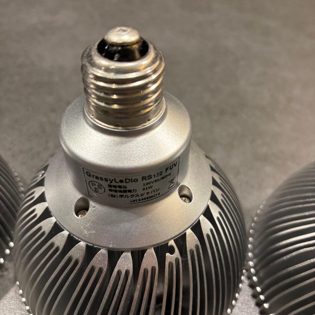 Grassy LeDio グラッシー・レデュオ RS122 FreshWhite