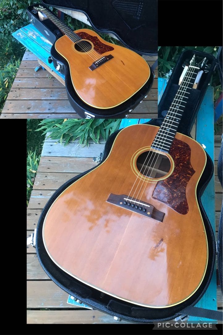 Burny BJ-65N バーニー フェルナンデス