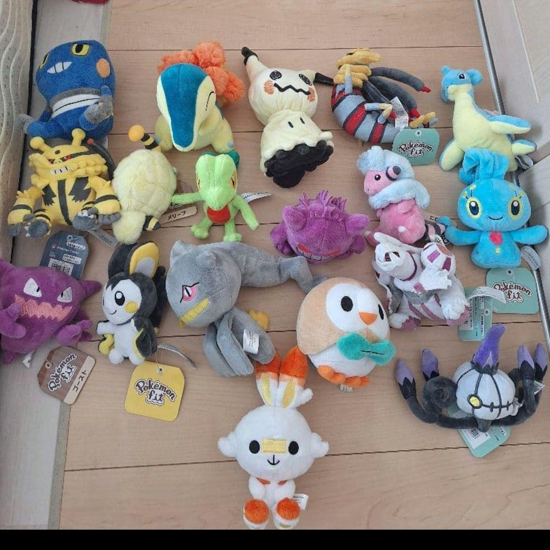 ポケモンセンター　ポケモンフィットぬいぐるみ