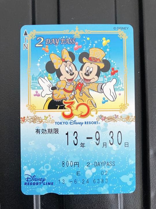 【未使用・有効期限切れ】30周年記念ディズニーリゾートライン2DAYPASS