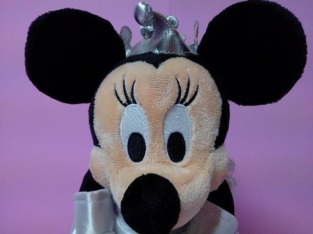 レア☆ミッキーマウス&ミニーマウス☆ウェディングぬいぐるみ☆新品未使用ケース付き