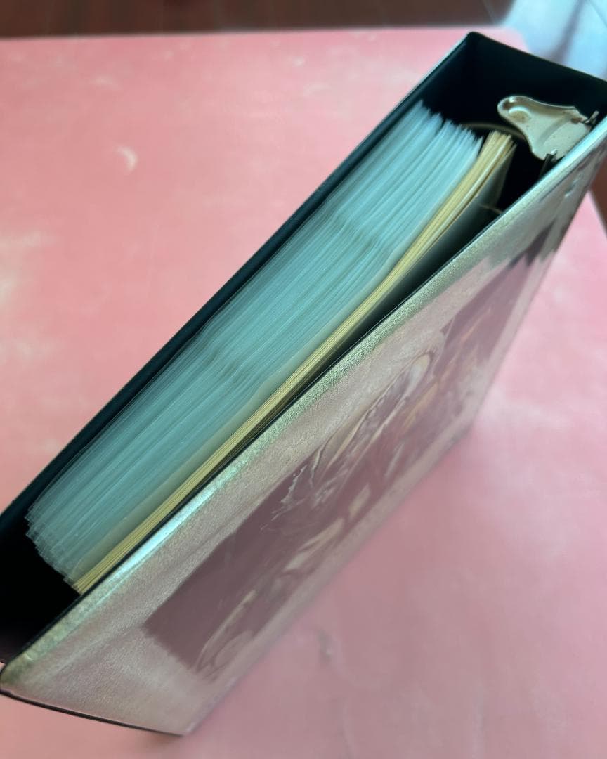 MTG テンペスト バインダー 全チェックリストカード付き