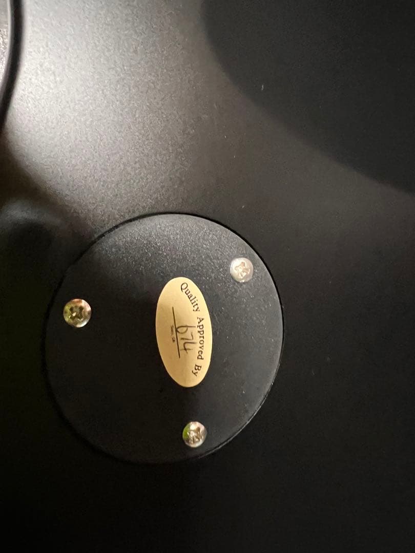 【新品】【希少】スナップオン×ESP コラボギター　新品未使用