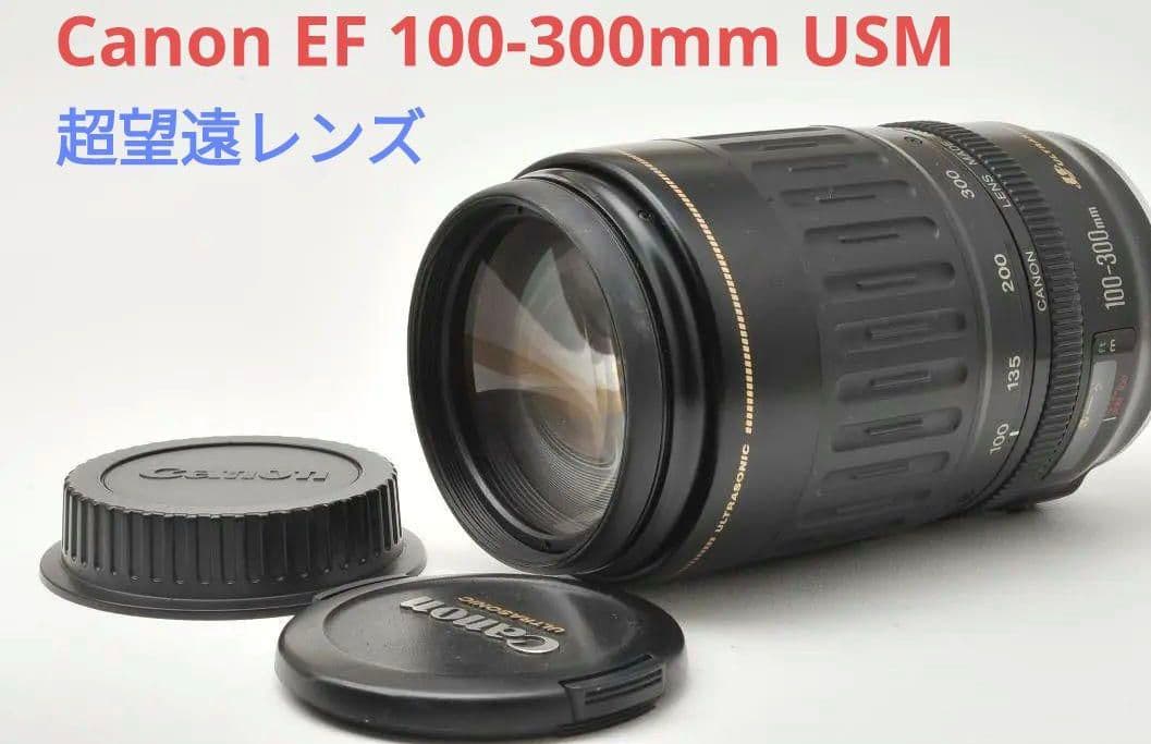 10月23日限定価格♪Canon EF 100-300mm USM