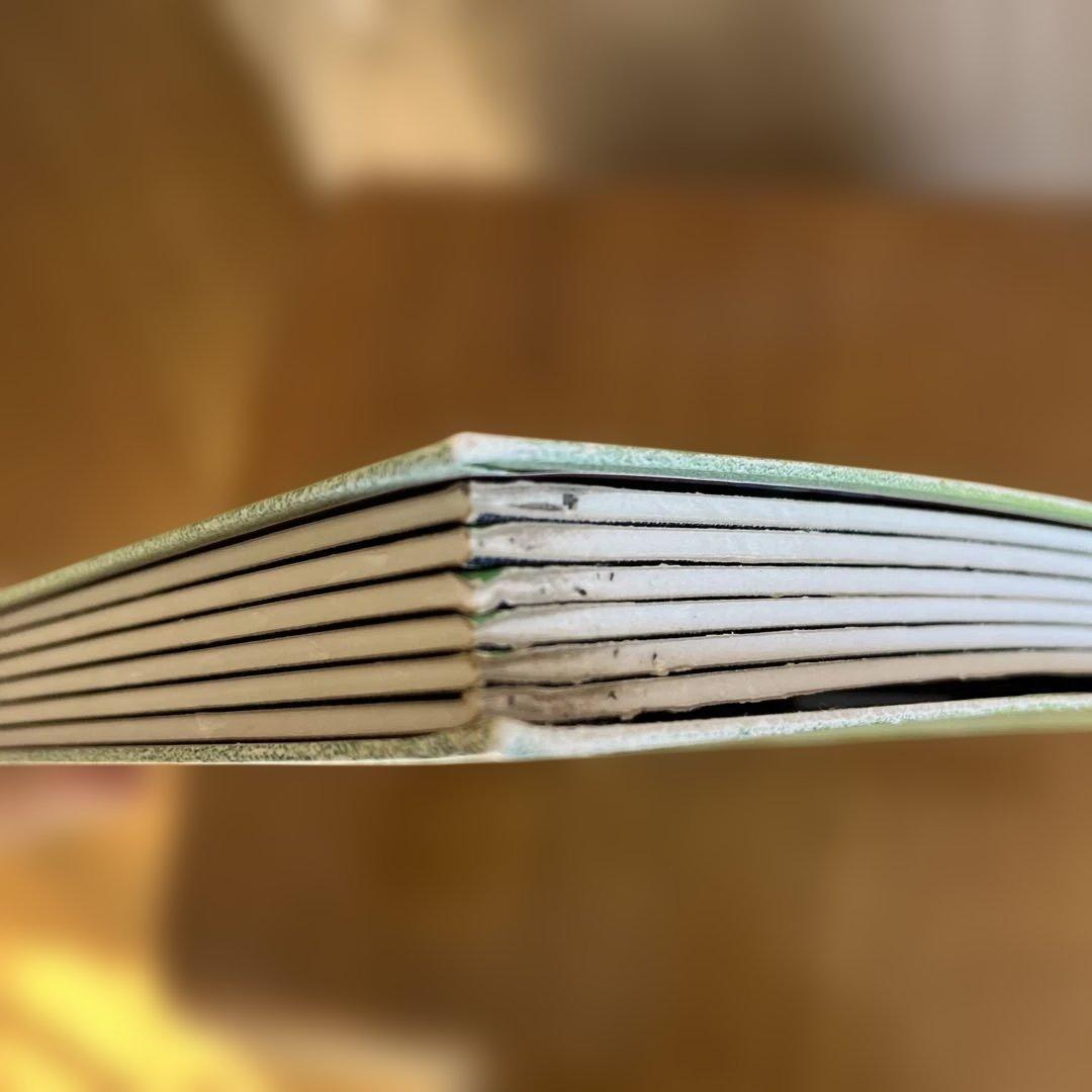 ポケモンメタルフォルダー　55枚付き