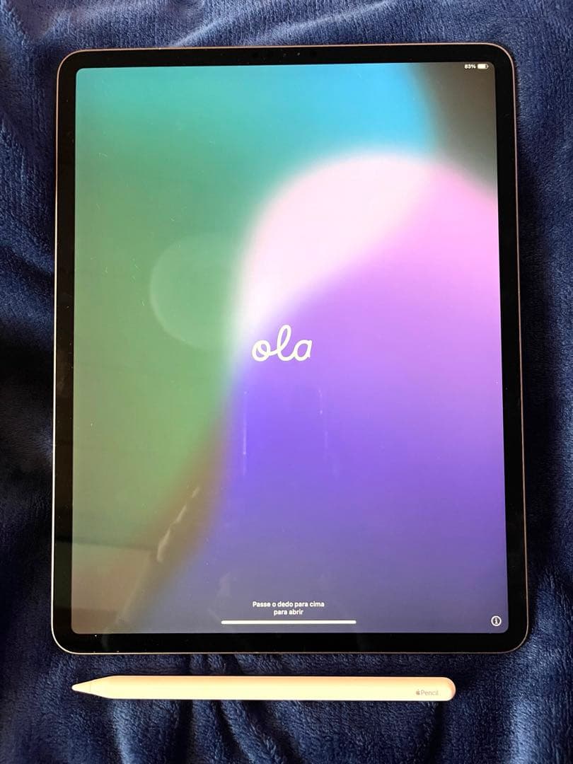 Apple iPad proスペースグレー 本体 + Apple Pencil