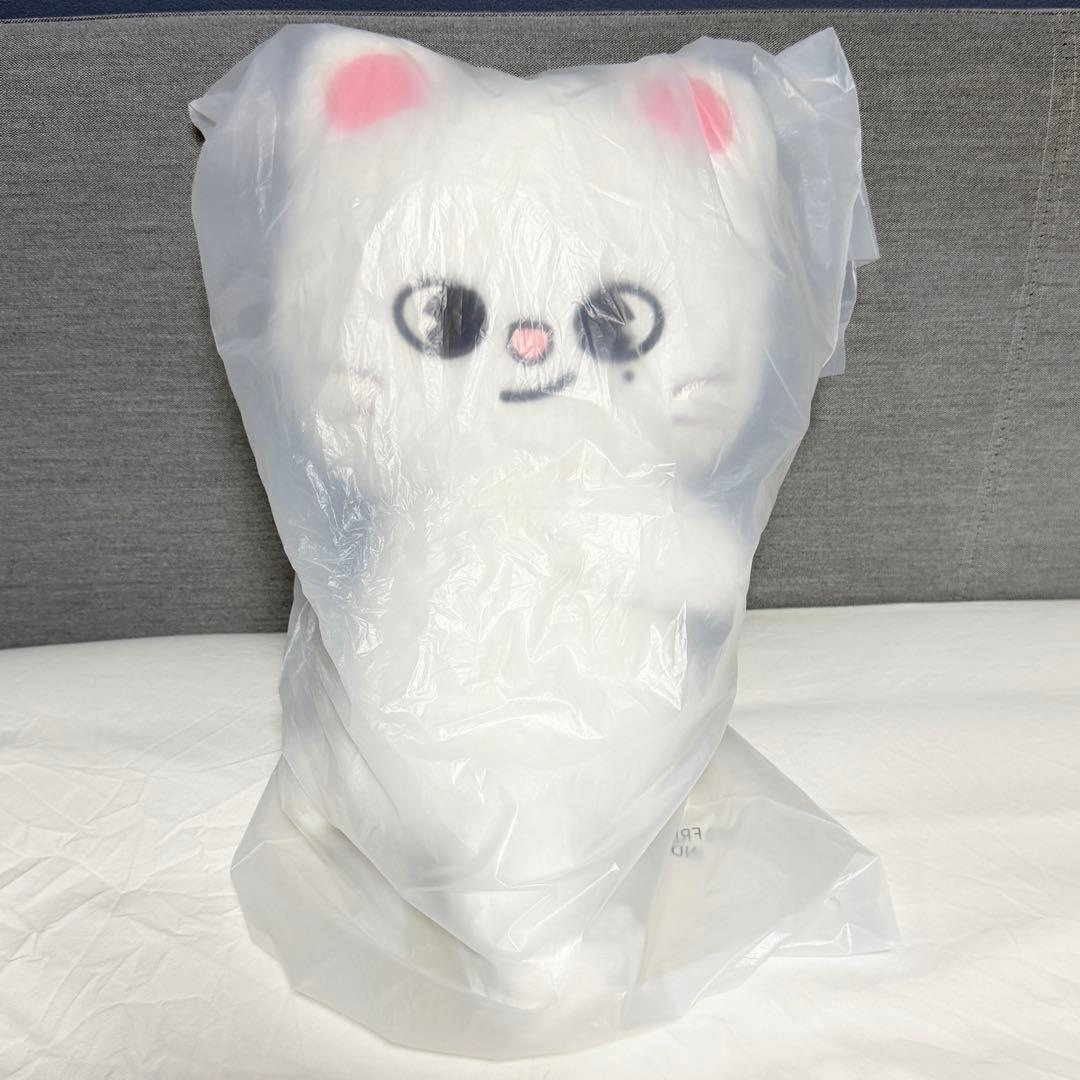 straykids celebrATE プラッシュバッグ ジニレット