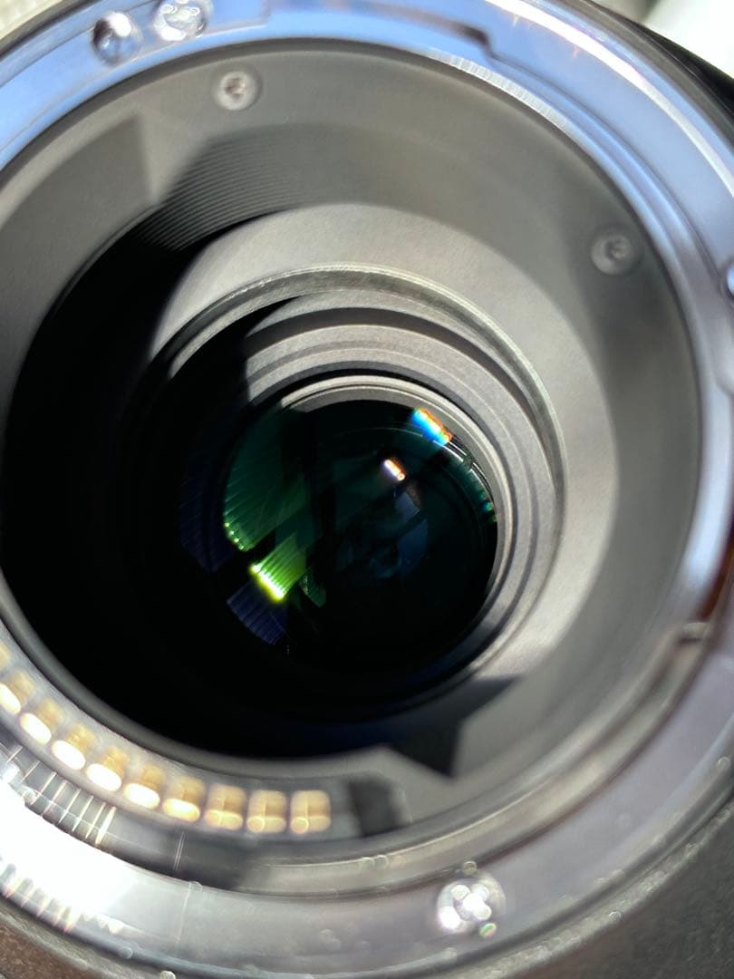 ※LマウントSIGMA / 100-400mm f5-6.3 DG DN OS