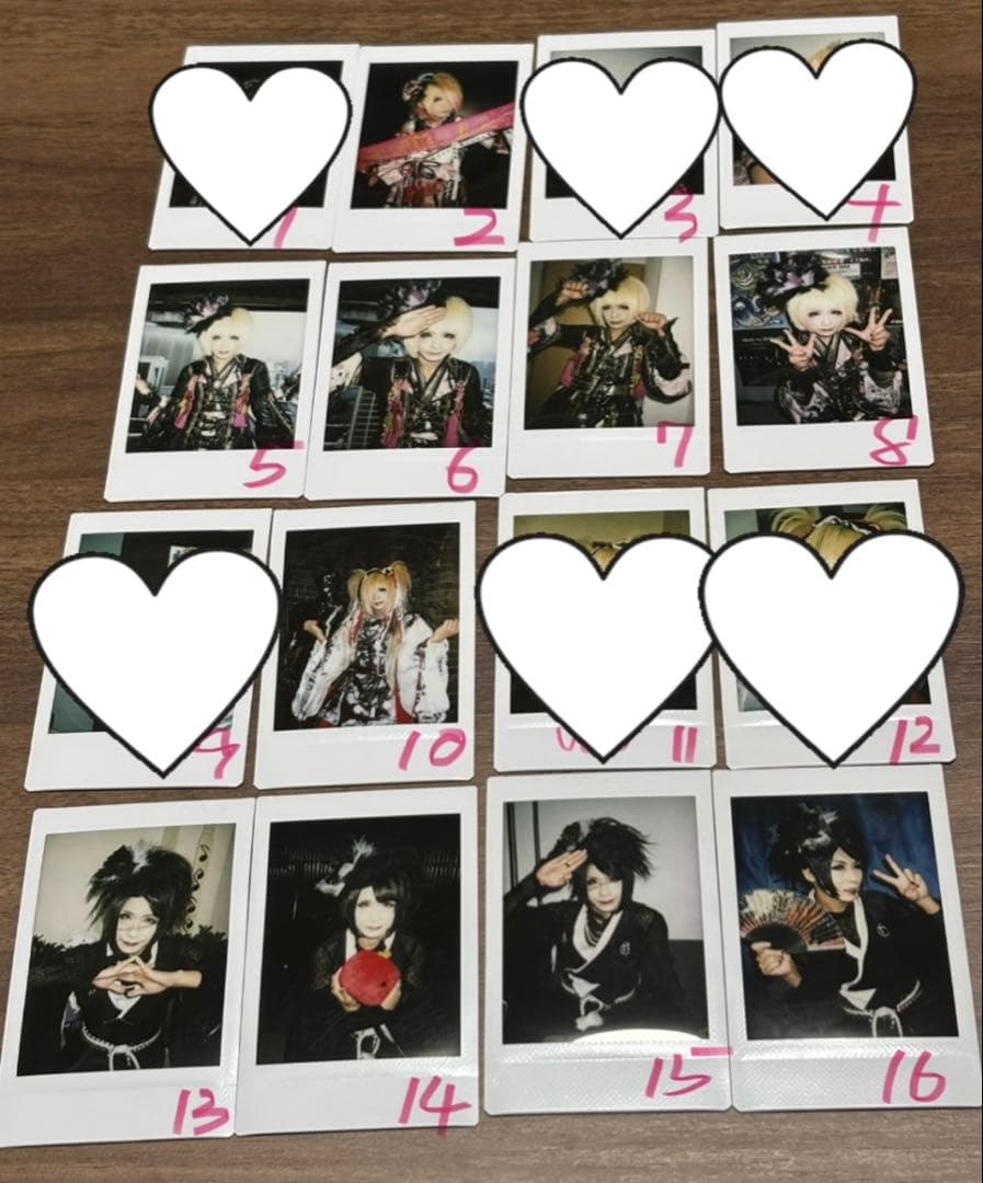 己龍 チェキ(バラ可)