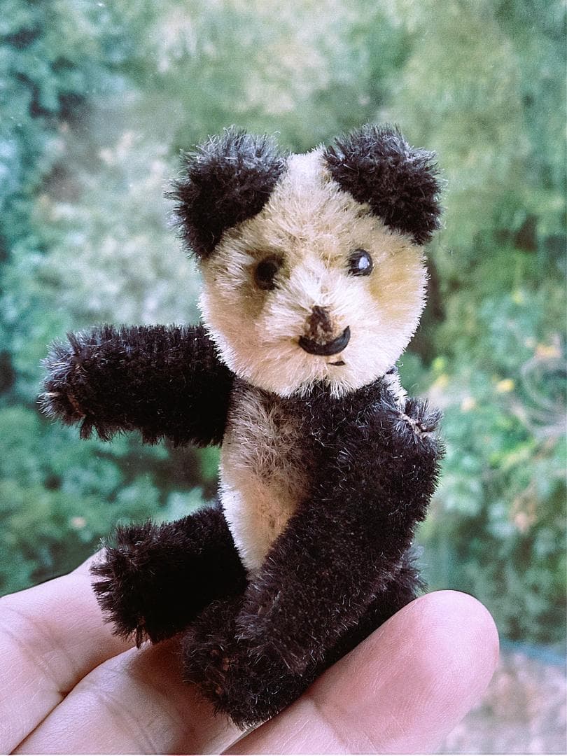きっとあの子のお友達　ドイツのこぐま　シュコー　パンダ　 アンティーク　９ｃｍ