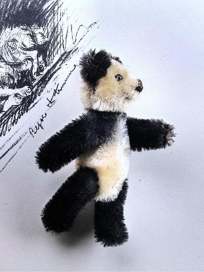 きっとあの子のお友達　ドイツのこぐま　シュコー　パンダ　 アンティーク　９ｃｍ