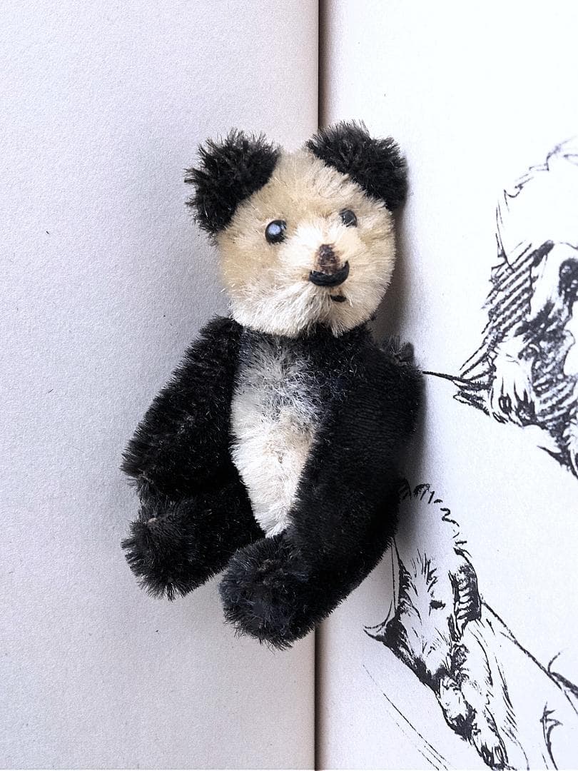 きっとあの子のお友達　ドイツのこぐま　シュコー　パンダ　 アンティーク　９ｃｍ